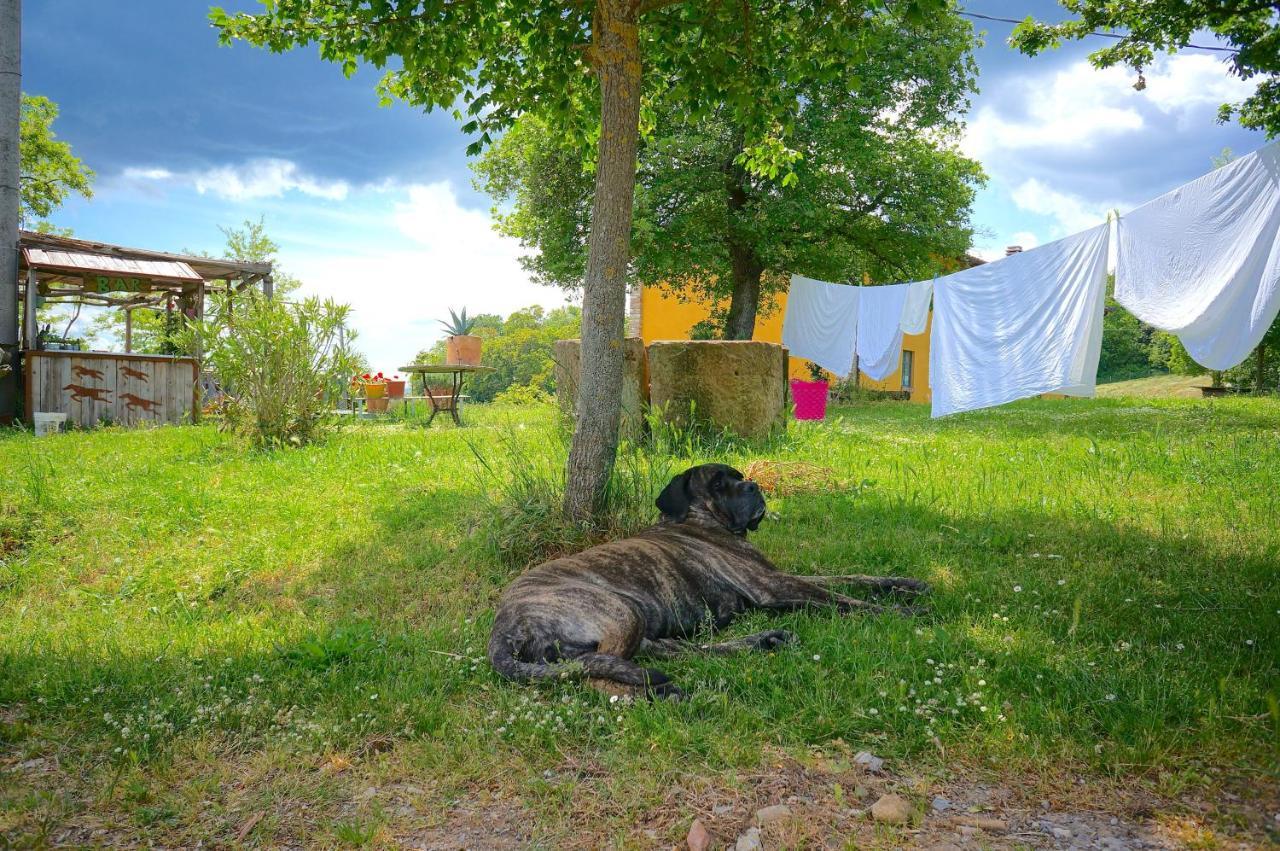 B&B Parco Dei Cavalli Castel San Pietro Terme Zewnętrze zdjęcie